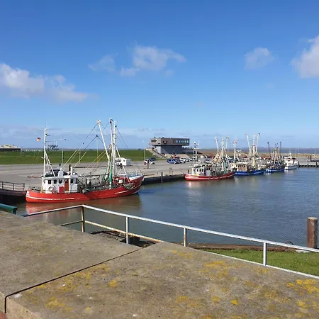 Wiesenpieper Σπίτι διακοπών *