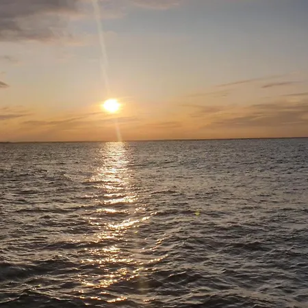 Wiesenpieper * Dornum