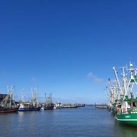 Wiesenpieper Σπίτι διακοπών *