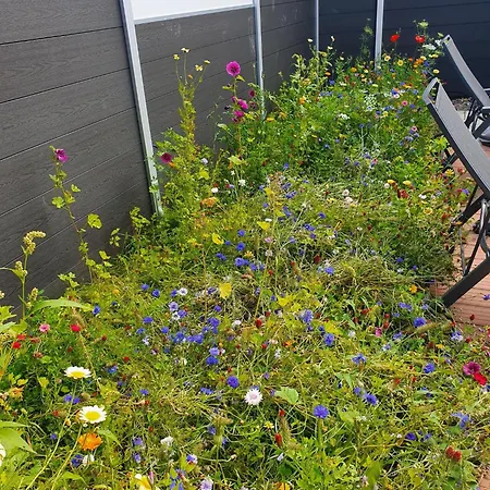 Wiesenpieper Σπίτι διακοπών