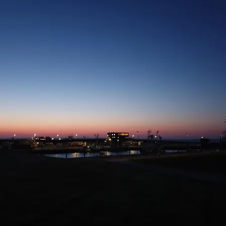 Wiesenpieper * Dornum