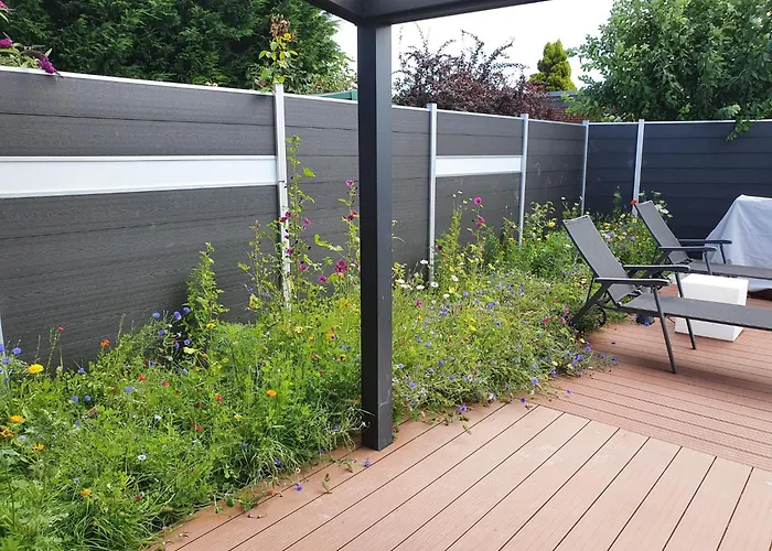 Wiesenpieper * Dornum