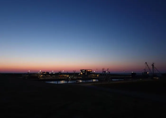 Wiesenpieper * Dornum