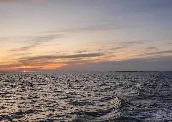 Wiesenpieper * Dornum