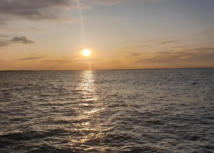 Hébergement de vacances Wiesenpieper